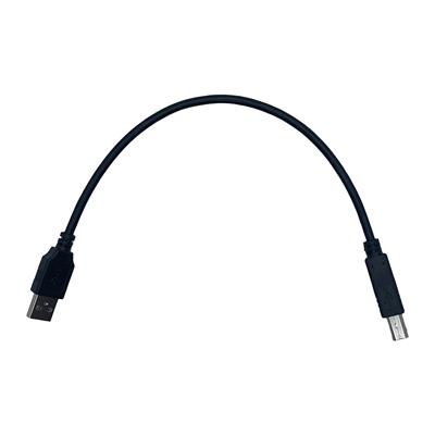 Lot de 2 câbles 0,3m USB2.0 Pegasus Astro type A vers B